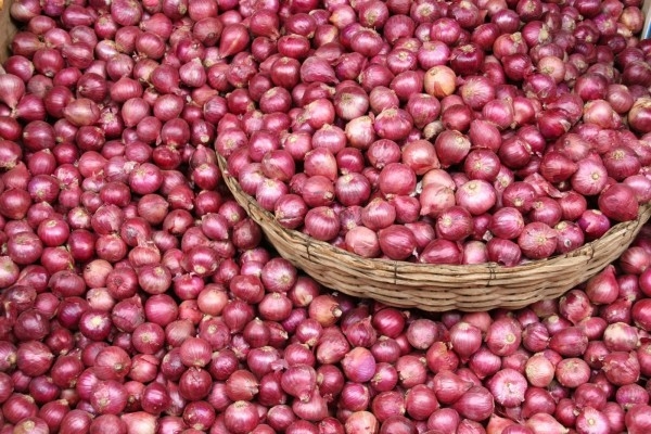 Big Relief to Farmers Owing to Onion Purchase on Support Price