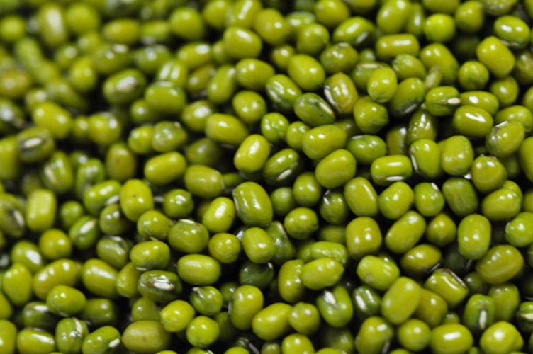 2 Lakh 12 Thousand 370 Metric Tonne Moong Purchased in State