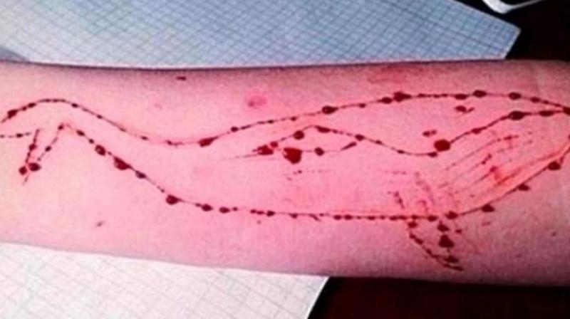 Ban Blue Whale Challenge mobile game: MoS Joshi