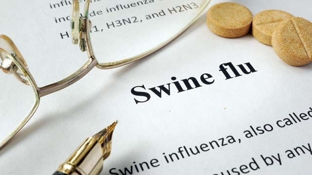 59 swine flu patients in state so far