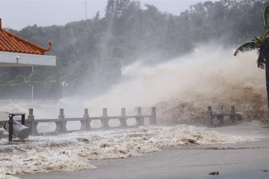  China Focus: 9 killed as China hit by strongest typhoon of year 