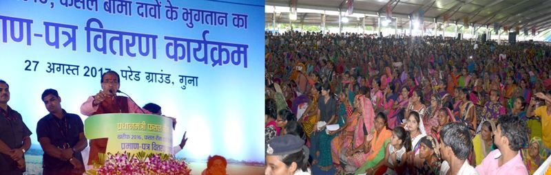 Provision of Rs 1000 cr to compensate for loss of crops: CM Chouhan
