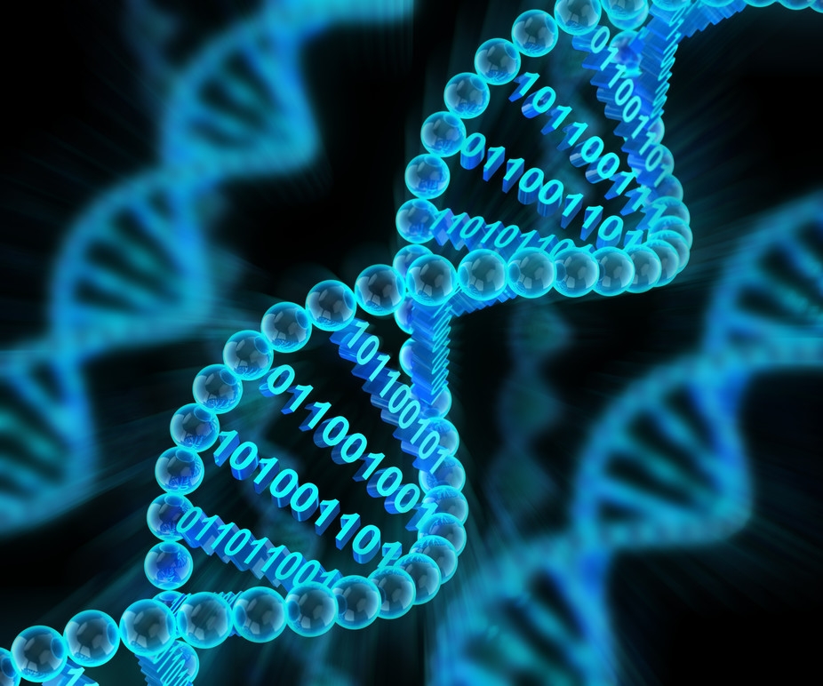  This DNA robot can transport molecular cargo in bloodstream 