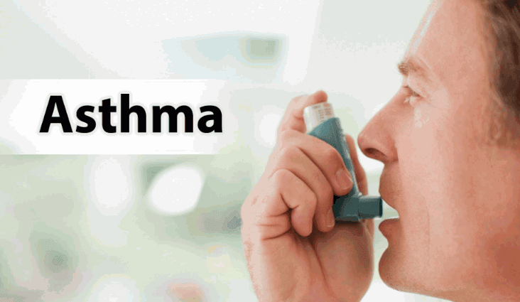  Pollens one of the reasons behind asthma attacks: Study 