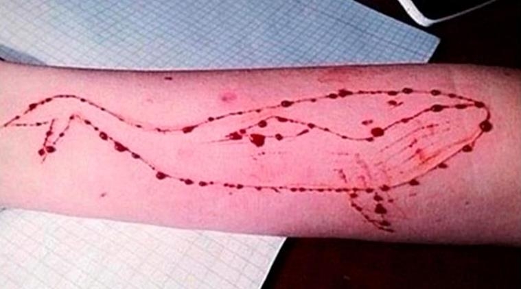 Headmasters should advise students on ill-effects of Blue Whale Challenge game