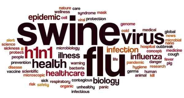 Eight more hospitals marked for prevention of swine flu
