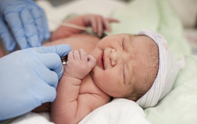  Researchers find out how a baby s heart develops 