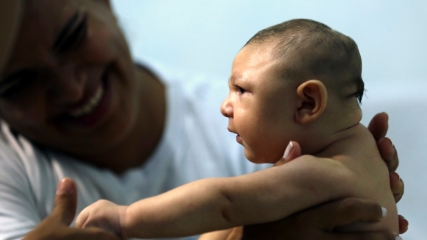  Scientists reveal why Zika virus causes microcephaly 