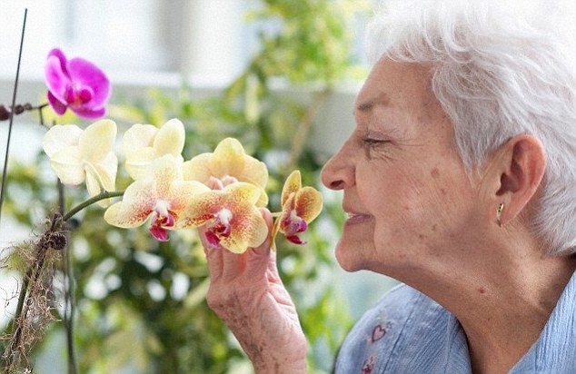  Loss of smell may point to dementia risk among elderly 