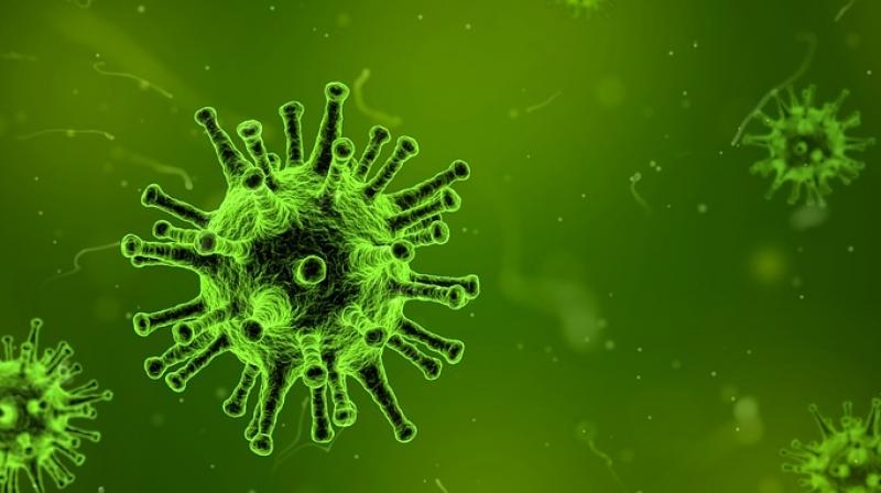  Ovarian cancers originate in fallopian tubes: Study 