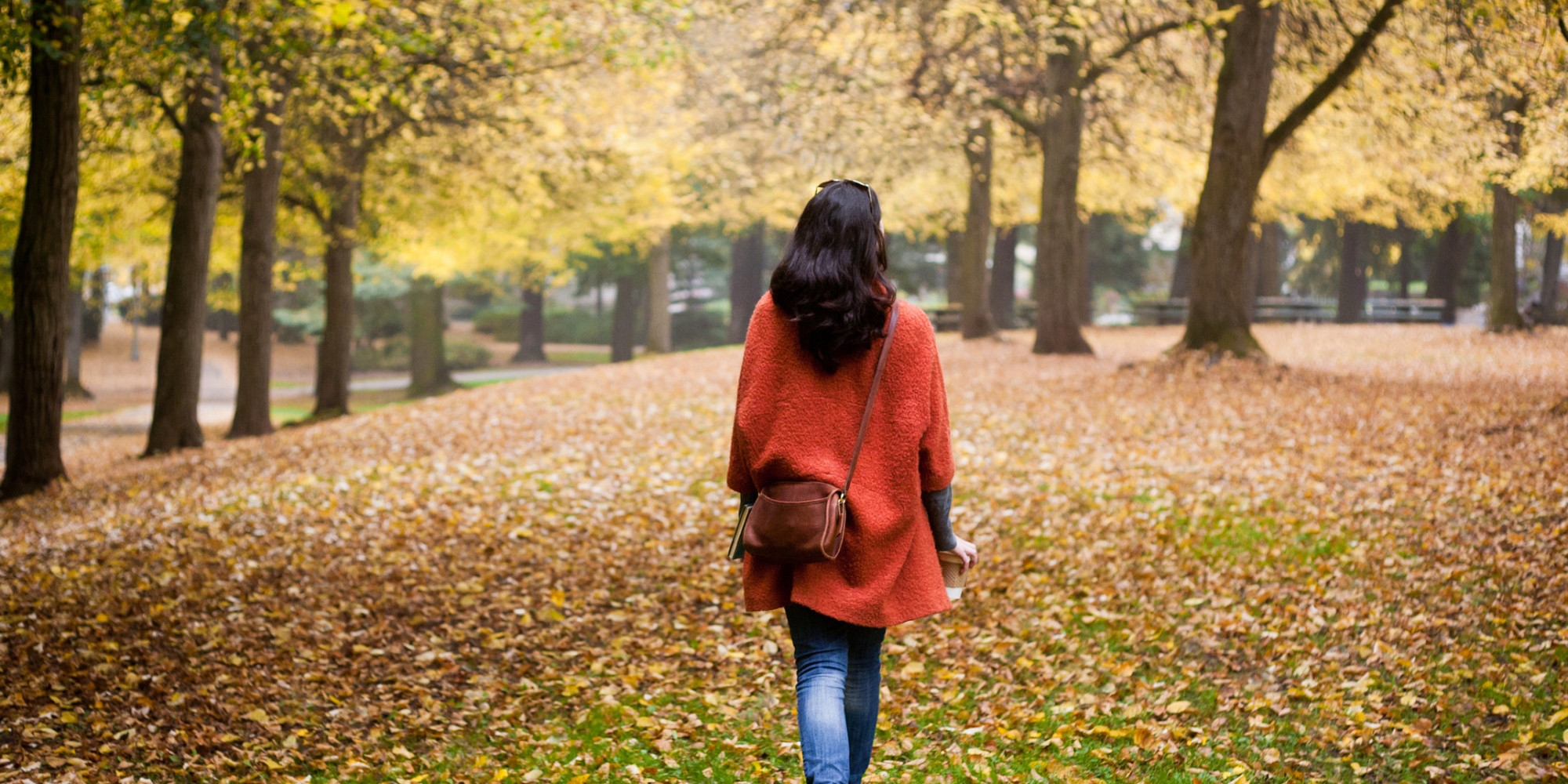  Living near woods may cut stress, make brain healthy 