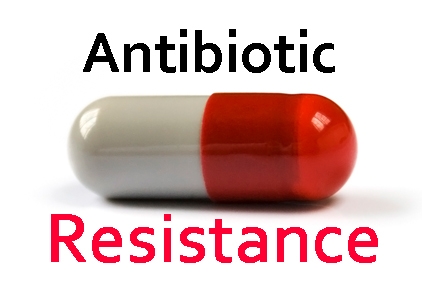  Can antibiotic resistance be reversed? 
